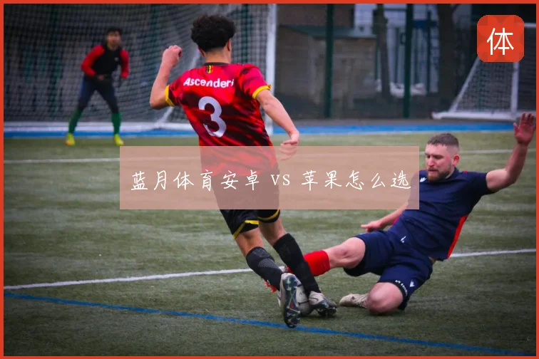 蓝月体育安卓 vs 苹果怎么选